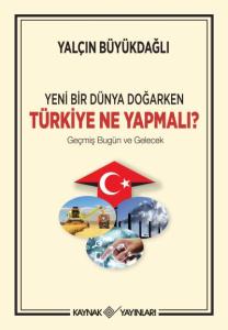 Türkiye Ne Yapmalı ?