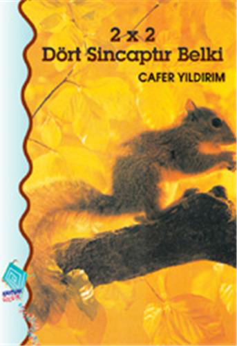 2x2 Dört Sincaptır Belki