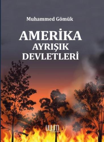 Amerika Ayrışık Devletleri