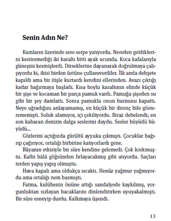 Kumsaldaki Kız